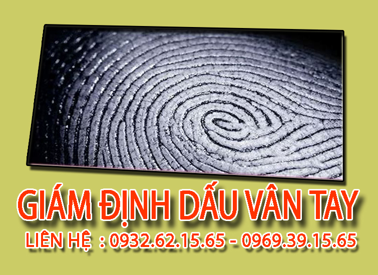 Dịch vụ giám định dấu vân tay chất lượng tại Hà Nội 1